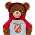 GRYFFINDOR™ House Hoodie