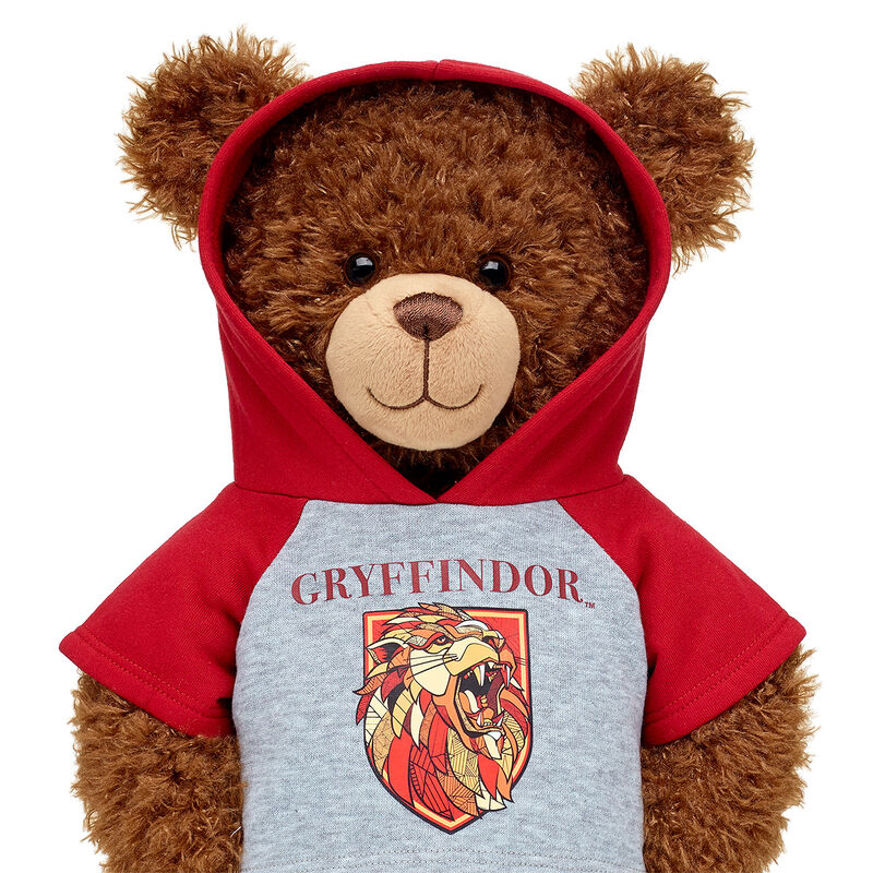 GRYFFINDOR™ House Hoodie