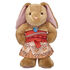 Disney's Moana Costume 3 pc.