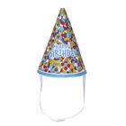 Birthday Party Hat