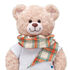 Online Exclusive Plaid Blanket Scarf