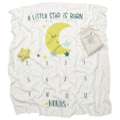 Monthly Milestone Baby Blanket