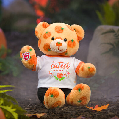 Vault Collection Pumpkin Pal Teddy Bear Gift Set