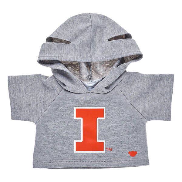 University of Illinois Hoodie