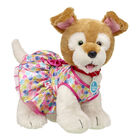 Promise Pets Brown ‘n’ White Puppy Hoodie Gift Set