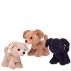 Promise Pets™ Promise Pups Gift Set