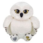 HEDWIG™