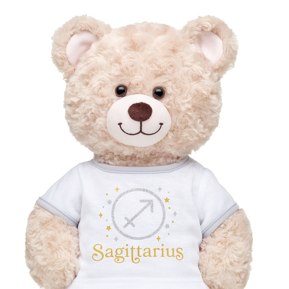 Sagittarius T-Shirt