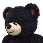 Football Bear
