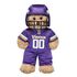 Minnesota Vikings Fan Set 3 pc.