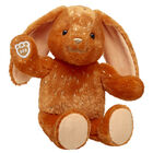 Pumpkin Sparkle Pawlette Bunny Soft Toy - Shop at Build-A-Bear®