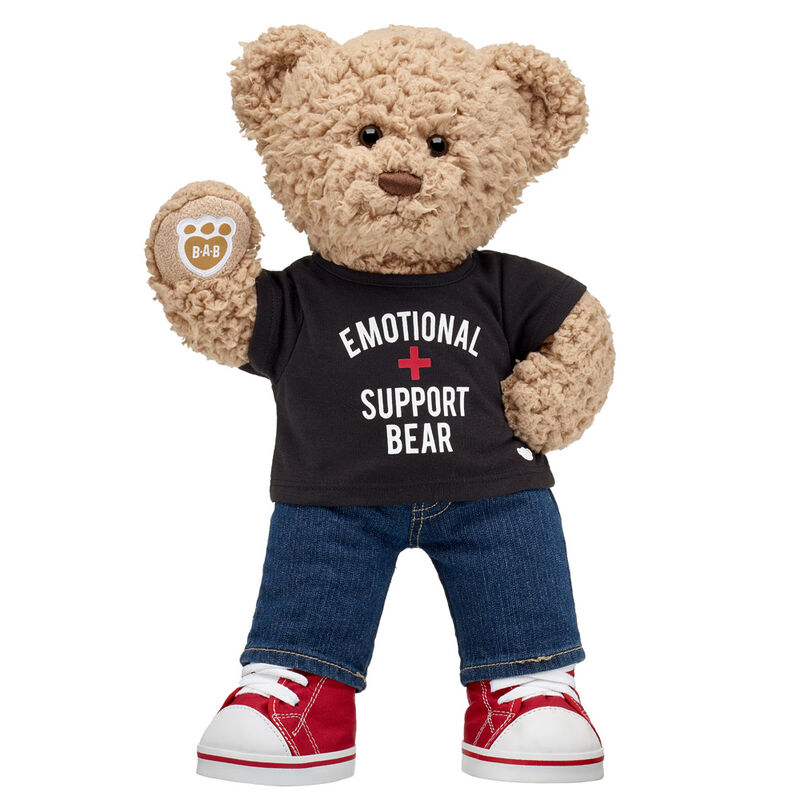 Timeless Teddy Bear Emotional Support Gift Set