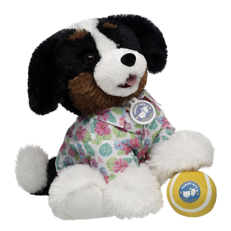 Promise Pets Bernese Mountain Dog Stuffed Animal Tennis Ball Gift Set plush by Build-A-Bear