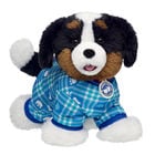 Promise Pets Bernese Mountain Dog Stuffed Animal PJs Gift Set plush by Build-A-Bear
