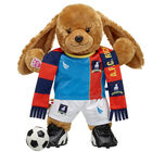 Online Exclusive Ted Lasso A.F.C. Richmond Soccer Scarf