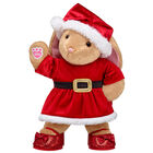Pawlette™ Santa Dress Gift Set
