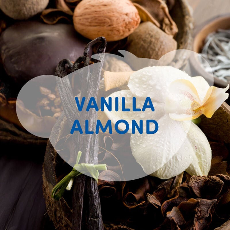 Vanilla Almond Scent