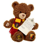 GRYFFINDOR™ House Bear with Scarf and HOGWARTS™ Acceptance Letter