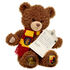 Online Exclusive GRYFFINDOR™ House Bear with Scarf and HOGWARTS™ Acceptance Letter