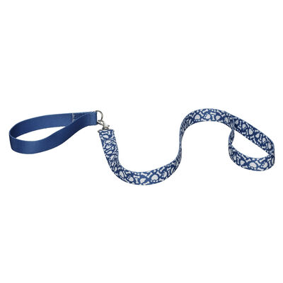 Promise Pets&trade; Blue Leash