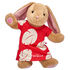 Disney's Lilo Dress