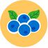 Blueberry Scent - Build-A-Bear Workshop®