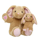 Pawlette&trade; Plush & Mini Beans Gift Set - Build-A-Bear Workshop&reg;