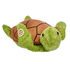 Online Exclusive Green Sea Turtle