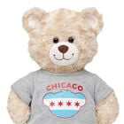 Chicago Flag T-Shirt by Build-A-Bear