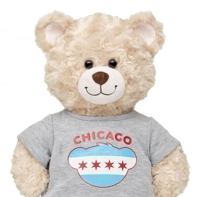 Chicago Flag T-Shirt