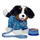 Promise Pets Bernese Mountain Dog Stuffed Animal Leash and Bone Gift Set plush by Build-A-Bear