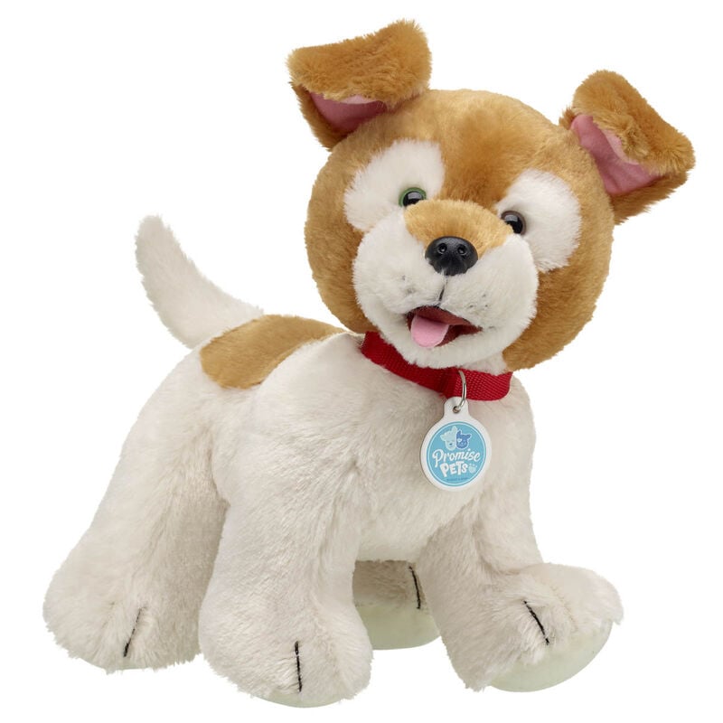 Promise Pets Brown ‘n’ White Puppy