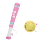 Online Exclusive Softball and Bat Set