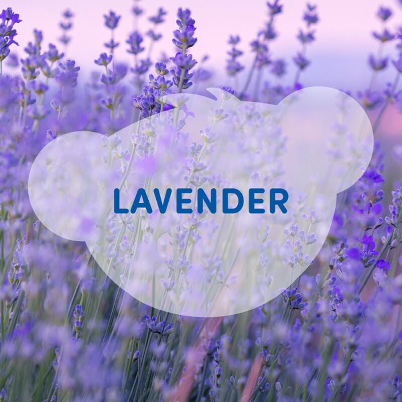 SCENTiments&trade; Lavender Scent