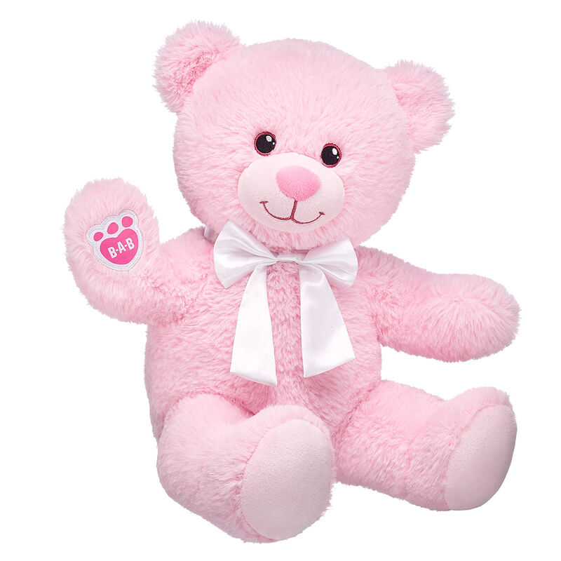 Pink Plush Teddy Bear Gift Set | Shop Gifts Online at Build-A-Bear®