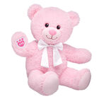 Baby Pink Teddy Bear Gift Set