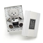 Celebration Teddy Bear with Swig Life Stainless Steel Insulated Lowball