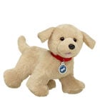 Promise Pets&trade; Golden Retriever