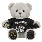 Emotional Support Bear Gift Box 