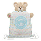 Spring Chevron Toy Bear Easter Carrier