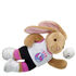 Online Exclusive Pawlette™ Volleyball Gift Set