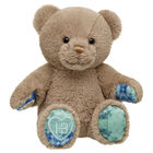 Well Wishes Teddy Bear