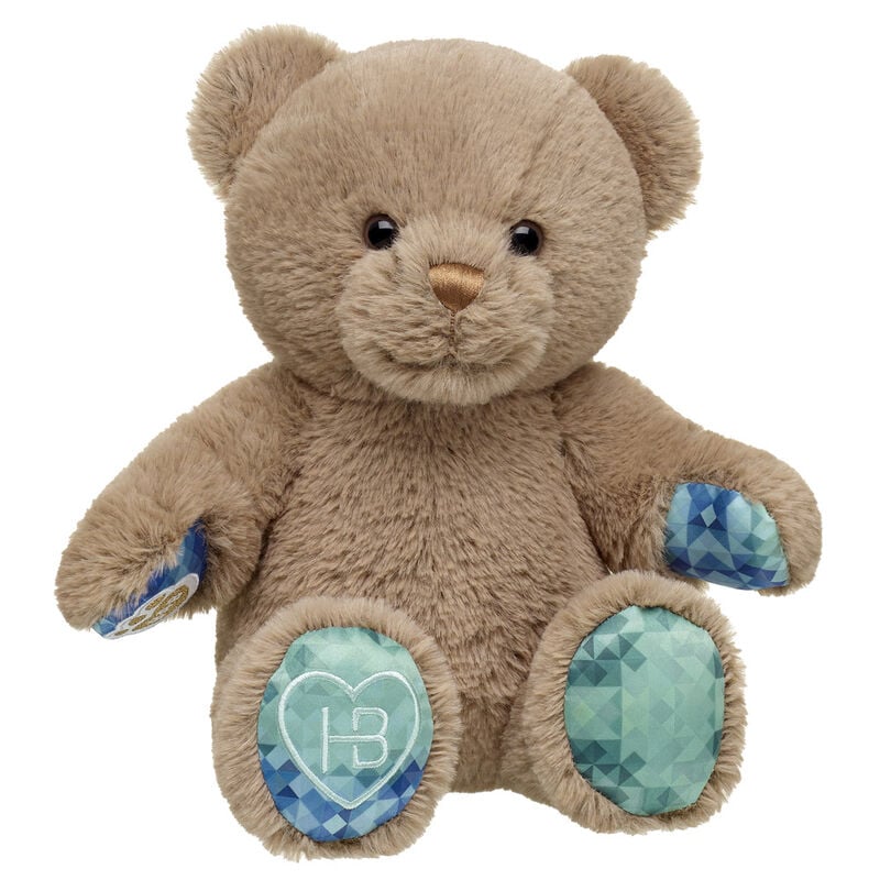 Well Wishes Bear