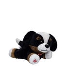 Build-A-Bear Mini Beans Promise Pets Bernese Mountain Dog Stuffed Animal plush by Build-A-Bear