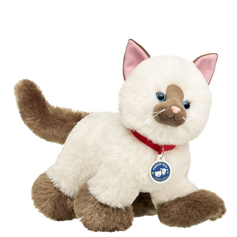 Promise Pets™ Ragdoll Kitten Stuffed Animal - Build-A-Bear Workshop®