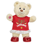 Lil' Cub Pudding Teddy Bear My 1st Christmas Gift Set 