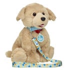 Promise Pets™ Blue Leash 