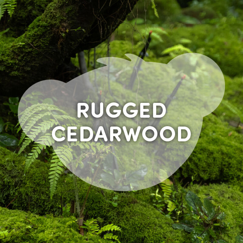 Rugged Cedarwood Scent