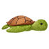 Online Exclusive Green Sea Turtle
