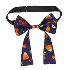 Halloween Purple Gifting Bow - Shop Online at Build-A-Bear®